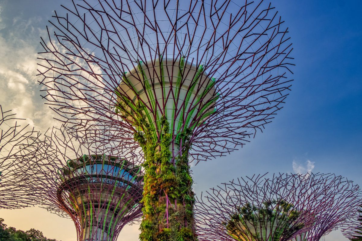 Singapore-Gardens-by-the-Bay